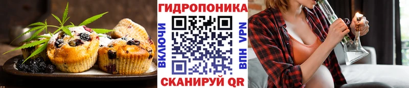наркота  Гудермес  Cannafood конопля 