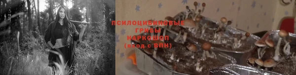 прущий лед Каменка