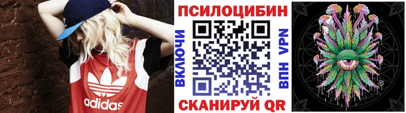 Галлюциногенные грибы Magic Shrooms ОМГ ОМГ сайт Гудермес